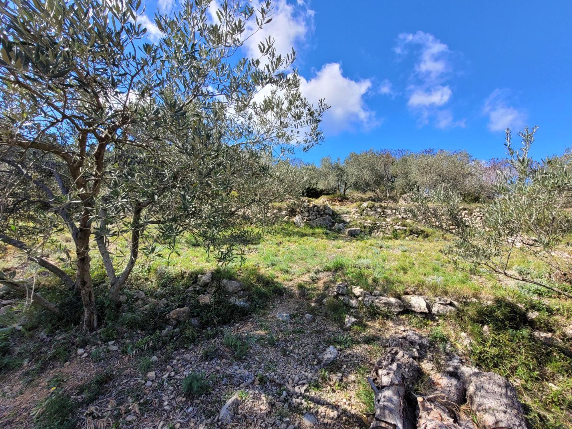 Villa Renovee Avec Piscine Privee Clermont-l'Herault Luaran gambar